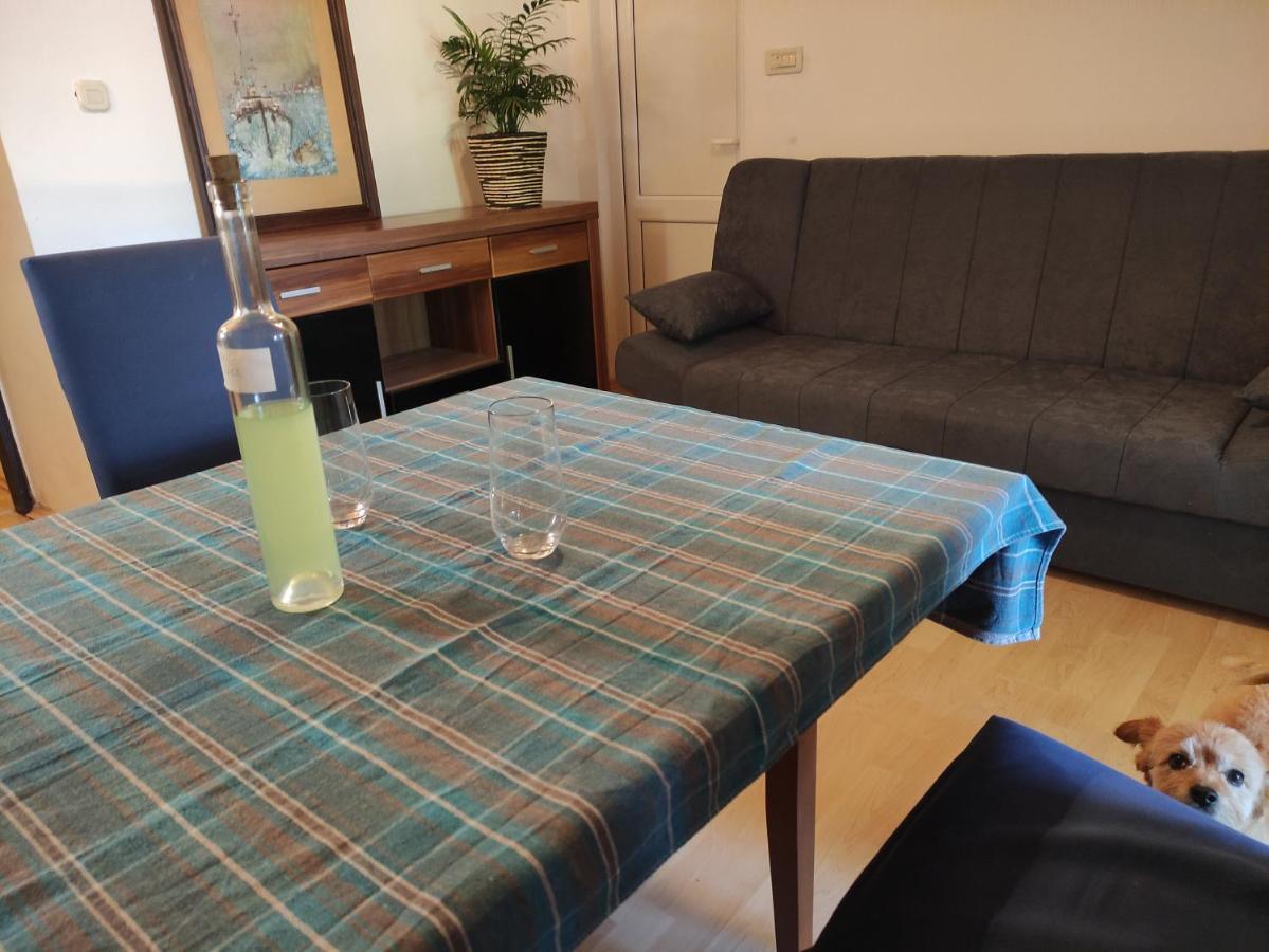 Apartment Valenta 波雷奇 外观 照片